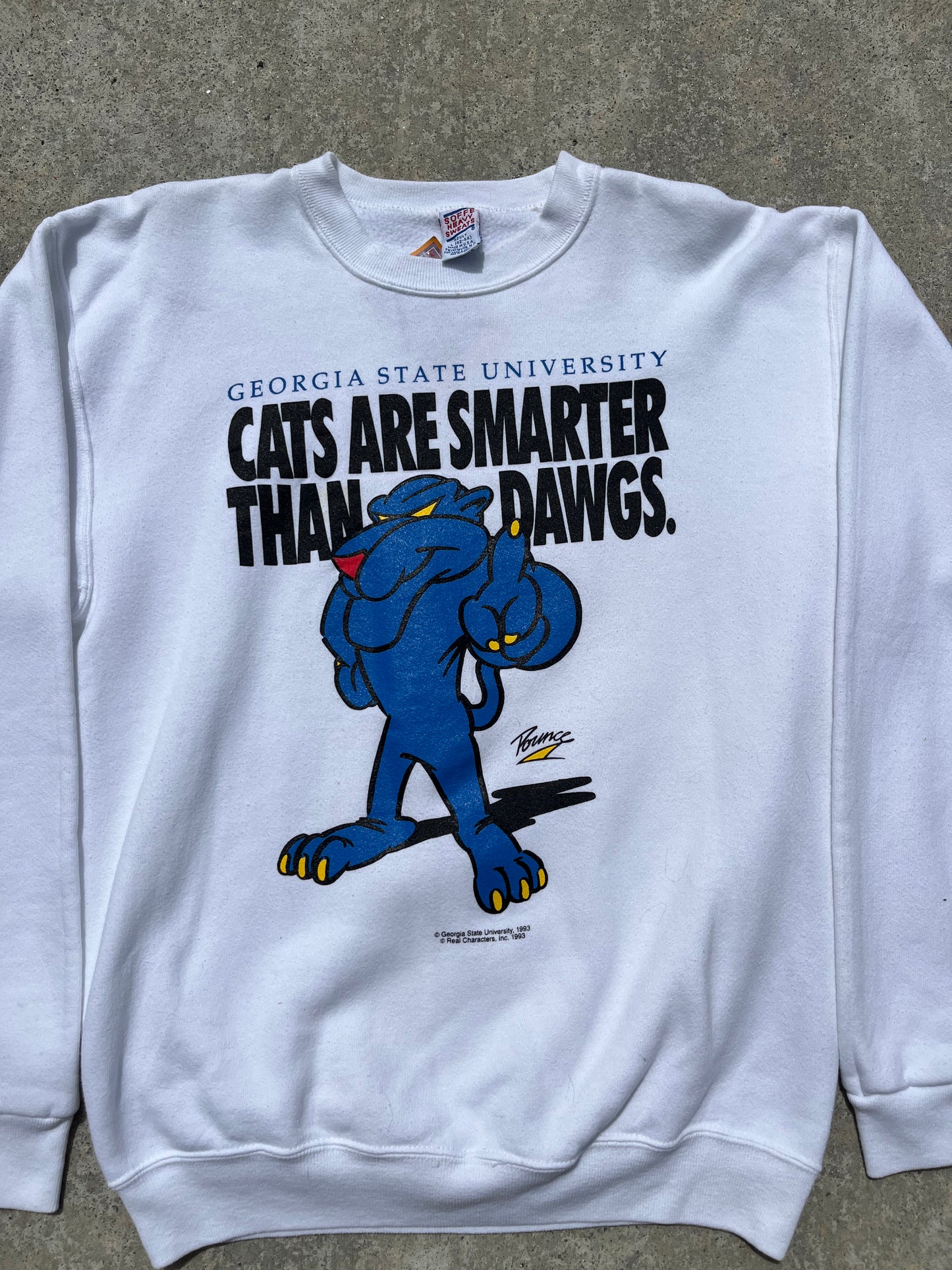 93' Cats are Smarter then Dogs Pullover